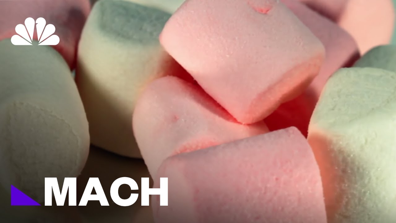 Waiting For A Marshmallow Kids Today Are More Patient Than In The Past