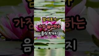 암세포가 가장 싫어하는 음식 5가지  #암예방, #항암음식, #건강한식습관, #건강정보