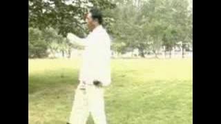 Feng Zhi Qiang - Xinyi Hunyuan Taiji 48 Form