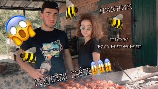 VLOG#7//пикник//ужалили пчёлы//шок контент//