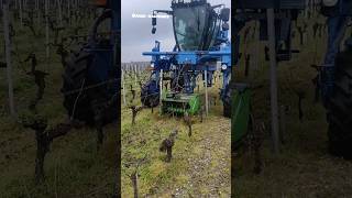 Crusher For Vineyards || Made By Souslikoff France || #Shorts