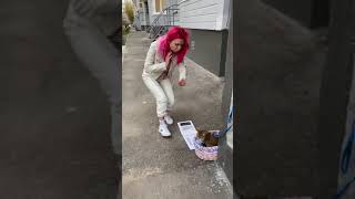 Cat Or Iphone ? .Fam