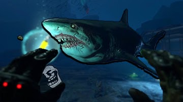 The Ancient Sharks Part 1 (plus a little trolling)