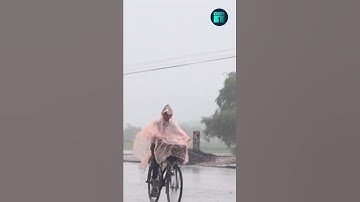 Mưa lạnh giữa mùa hè có bất thường? | VTC1