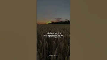{ إن الله وملائكته يصلون على النبي }سورة الأحزاب |القارئ فارس عباد🤍