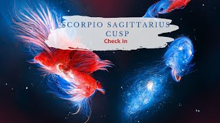 Scorpio-Sagittarius Cusp - Family Unit!