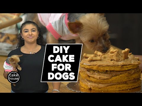 diy-dog-cake-by-cake-boss-sofia