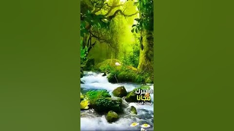 تلاوة جميلة جداً//والضحى والليل اذا سجى. 🌟 🌸 🦋