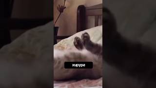 ШУТКИ НА ВРАЧЕЙ