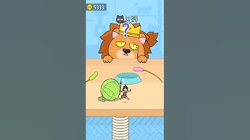 hide and seek cat escape infinity 54