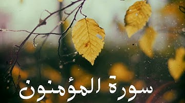 سورة المؤمنون كاملة للشيخ هاني الرفاعي بصوت عذب و جميل و تلاوة رائعة و بدقة عالية .. توقف و أرح قلبك