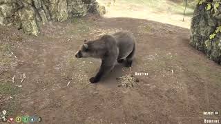 The Bear The WILDS  By Gluten Free Games walkthrough screenshot 5