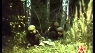 Мама, я жив. Военные фильмы Мама, я жив. Военные фильмы