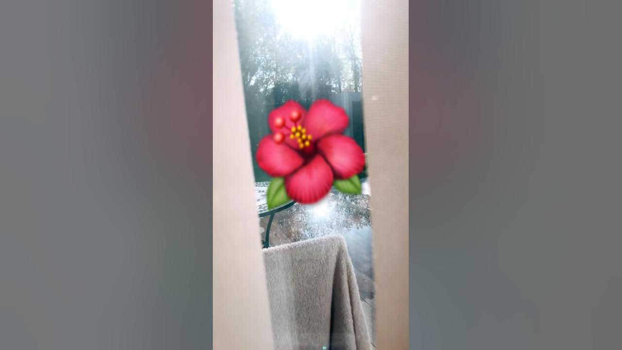 NACE una FLOR todos LOS días sale EL SOL - CHARLY GARCÍA | VERSIÓN