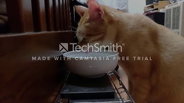 DECO 7230 video prototype (with watermark)