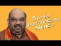 Nehru mishandled Kashmir issue says