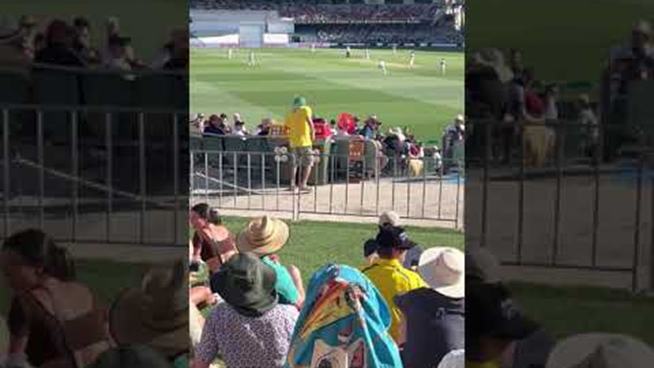 Cricket Fan Chugs Every Beer ViralHog YouTube