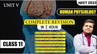 Human Physiology Class - 11 | Human Physiology Complete Revision in Just 2 Hr | NEET 2023 DRSKSINGH