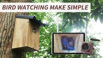 Maximizing Your Bird Watching with WiFi NVR and Bird Box Camera