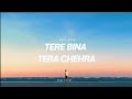 "TERE BINA TERA CHEHRA"(तेरे बिना) //OFFICIAL MUSIC VIDEO // ROMANTIC SONG ❤️💝