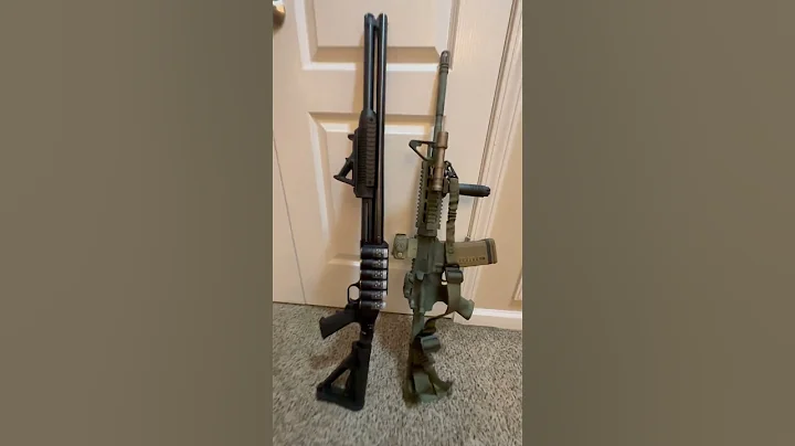 Shotgun VS AR15… the great debate‼️‼️ What are you choosing 🤔 #gun #ww3 #shotgun #ar15 #palmetto