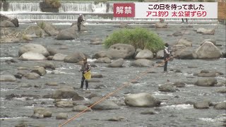 静岡 河津町の河津川でアユ釣り解禁 太公望が竿の列 Youtube