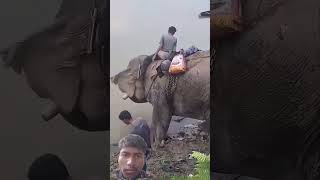 Sahi dehati sex #facts #elephant #animals