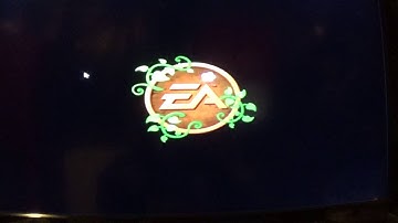 Plants Vs Zombies 2 BlueStacks Crashing Problem