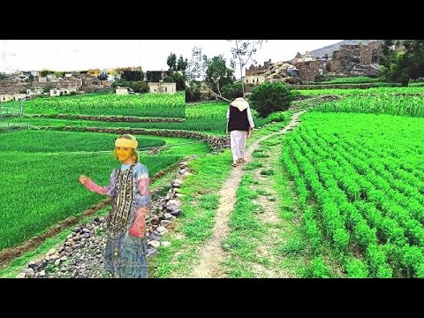 اة من فراق الحبيب شيلة يمنية عتاب مع اقوى المناظر في اليمن