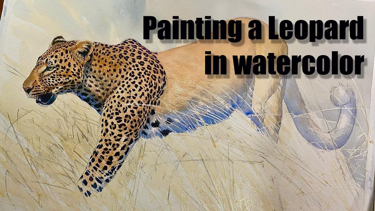 Large Leopard Watercolor (2022) - The Art of Aaron Blaise