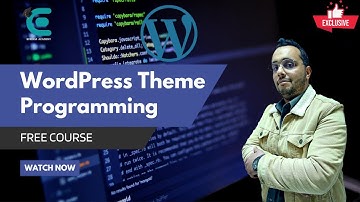 WordPress Theme development basic course | lesson 6 - Enqueue styles and scripts the right way