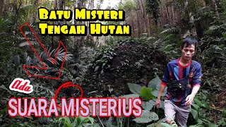 Terekam Jelas ❗️ Suara Misterius Di Tengah Hutan Angker...
