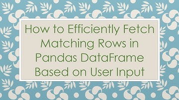 How to Efficiently Fetch Matching Rows in Pandas DataFrame Based on User Input