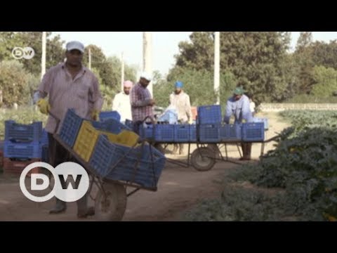 Italien: Ausbeutung in