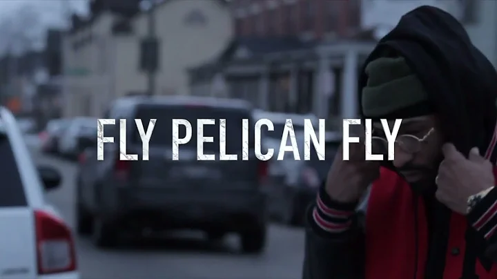 Jon Rogers "Fly Pelican, Fly..." Official Video (2...