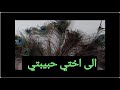 خاطرة من خواطري لاختي سندي وروحي خاطرة من خواطري لاختي سندي وروحي