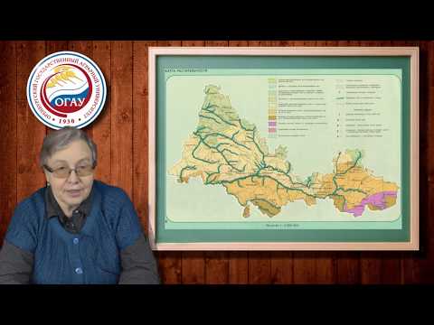 Лесные ресурсы и их разнообразие в Оренбуржье. Колтунова А.И.