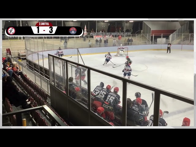 SPIELZUSAMMENFASSUNG FASS BERLIN VS SCHÖNHEIDER WÖLFE 31.01.