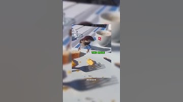 Sparrow date by stealing food🤦 #shorts #funnyshorts #funnymemes #viralshorts