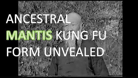 Old Mantis Kung Fu Form Performed by Master Wong