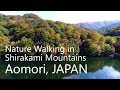 Nature walking at juniko lake in aomori japan