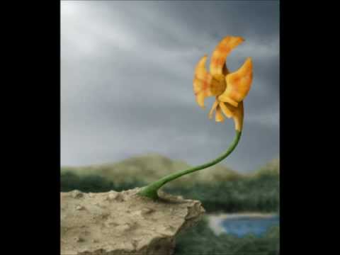Ali Güven - Uçurum Çiçeği