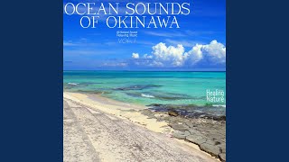 오키나와 청정 해변의 따뜻한 파도 소리 4 Sound of Warm Waves in Okinawa Sea 4