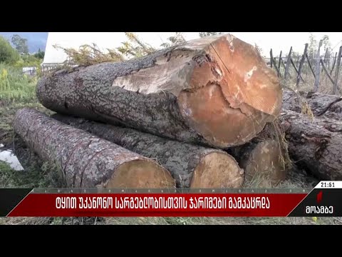 ტყით უკანონო სარგებლობისთვის ჯარიმები გამკაცრდა