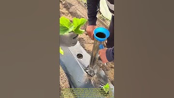 Lightweight Seedling Planter – Fast & Convenient Planting. #SeedlingPlanter #PlantingTool #Garden