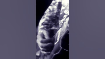 Thumbnail of Allman Brothers “Ramblin’ Man” 11/2/72