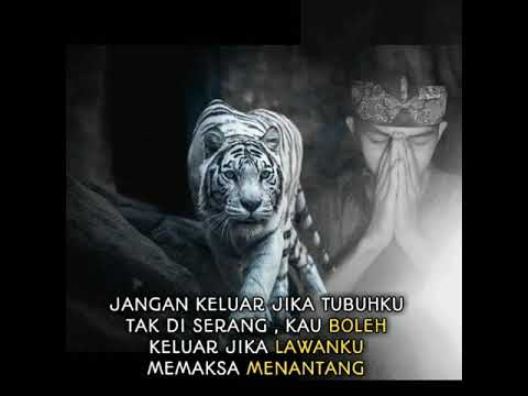  Status  wa  ajian macan putih nih bro  YouTube