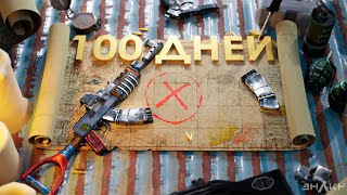 : 100          Rust 