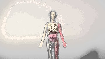 About Nanoelectronics