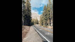 Dreamy Winding Road with Lofi Pop ☁️ | Epic Alpine Journey #shorts